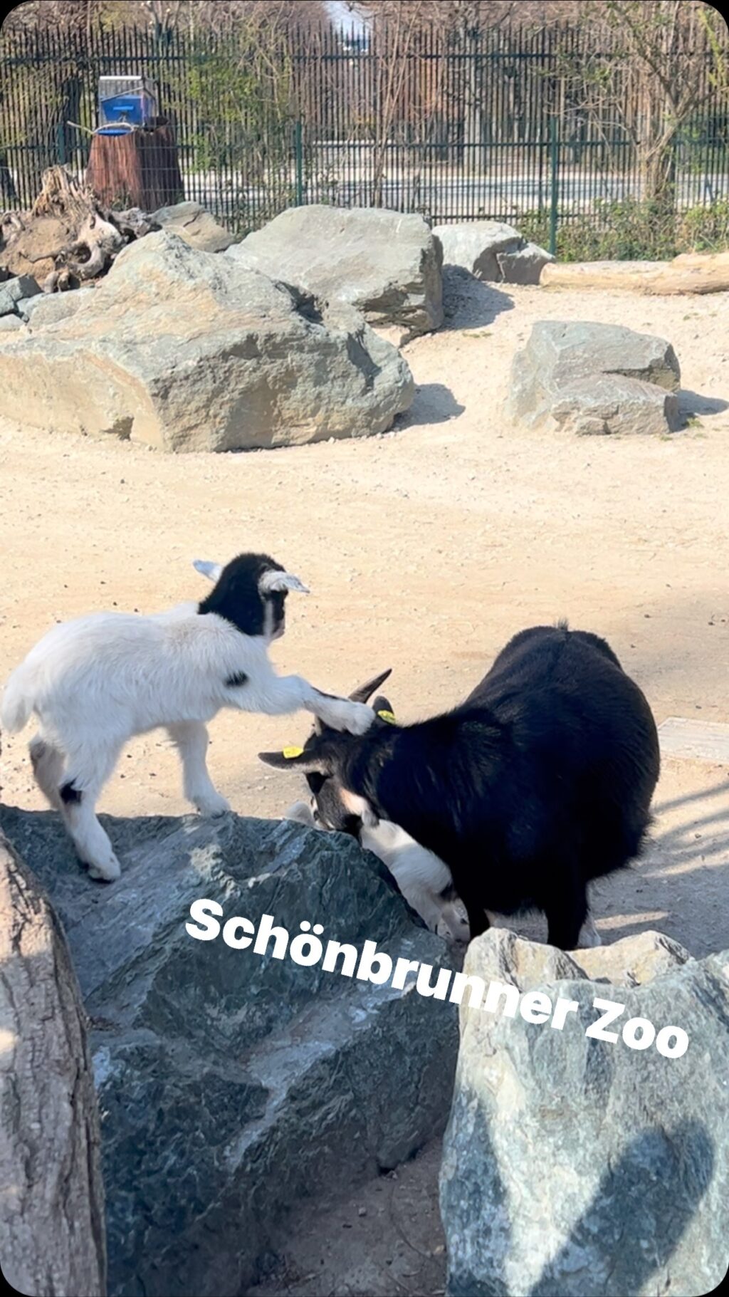 Instagram post from guide.in.vienna. This post is in position 9.