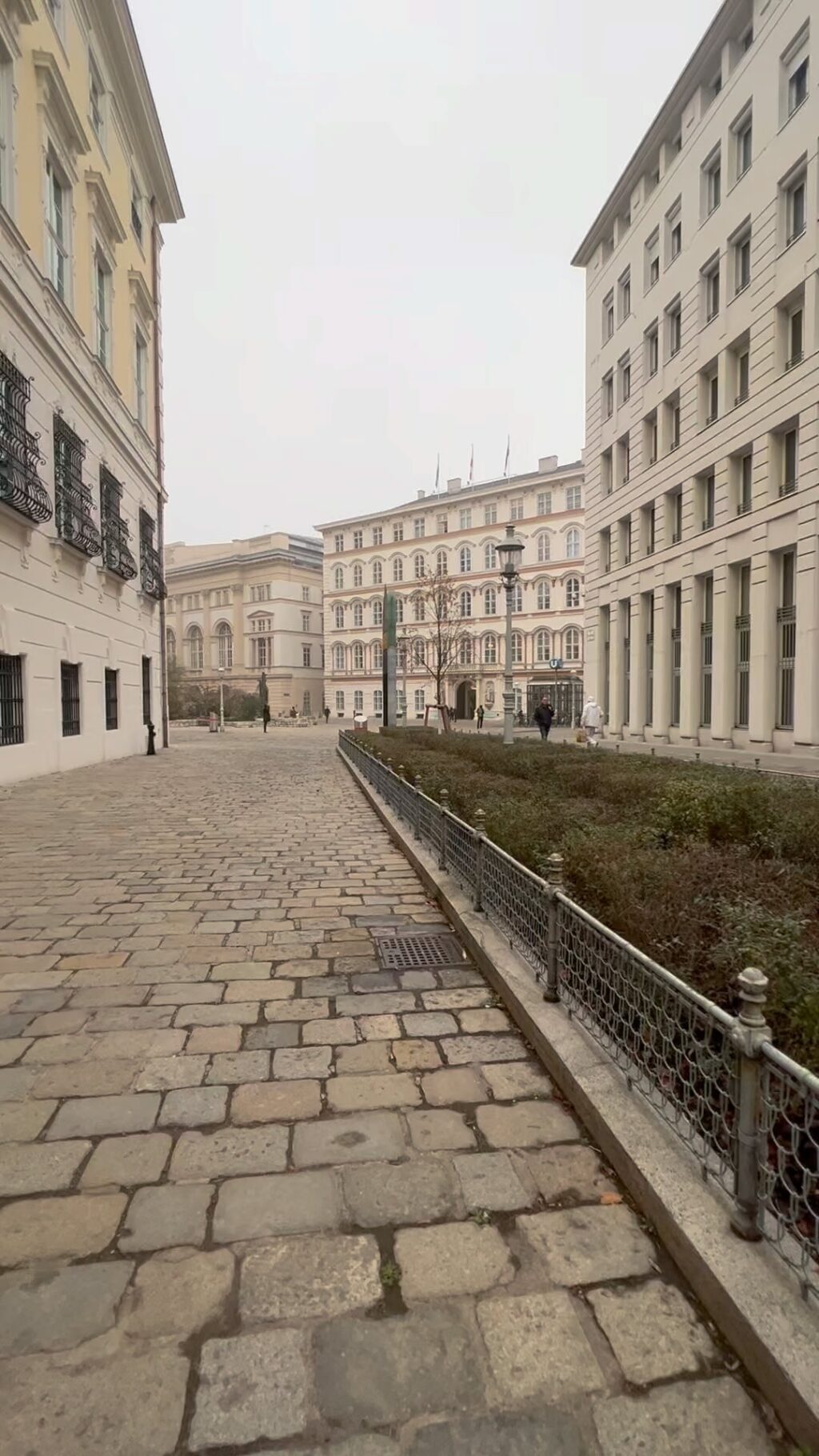 Instagram post from guide.in.vienna. This post is in position 12.