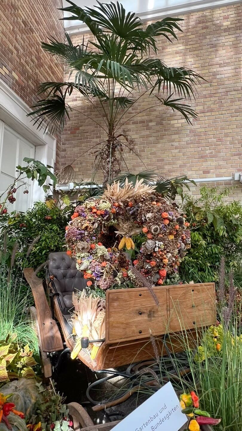 Instagram post from guide.in.vienna. This post is in position 2.